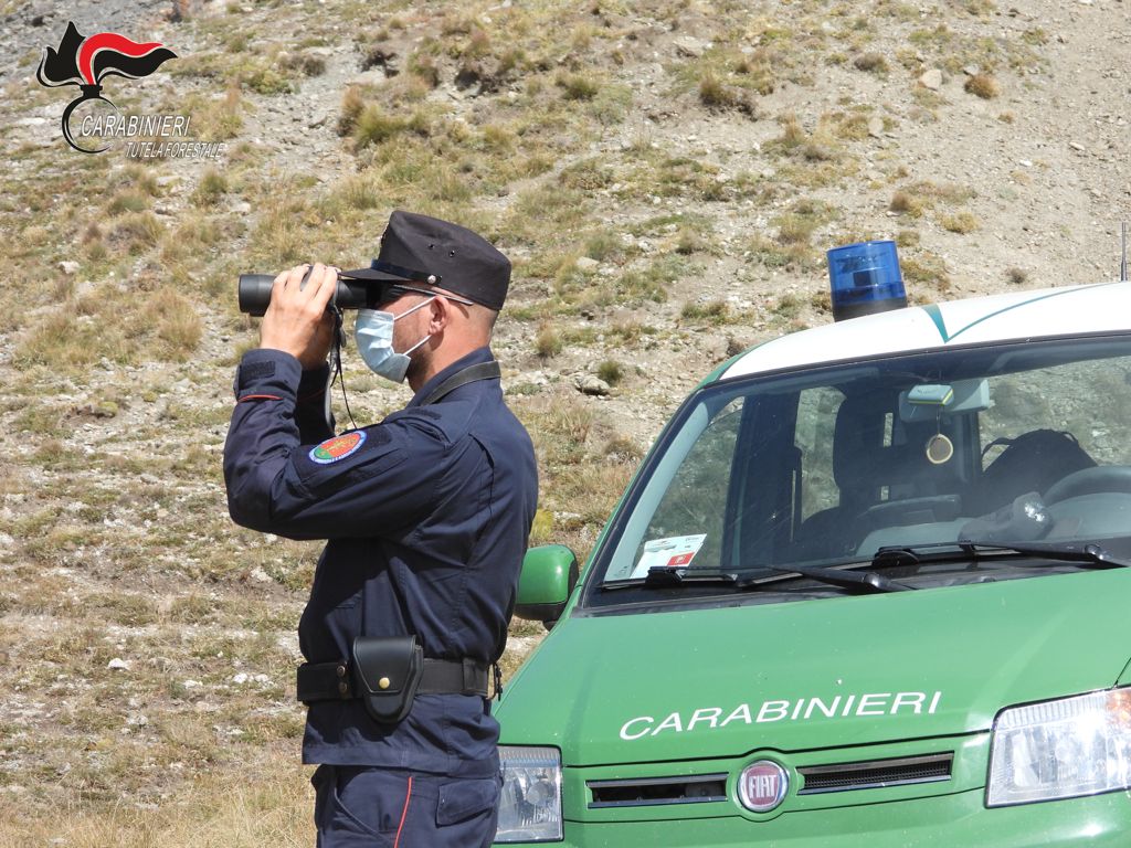 Controlli Anticovid Sui Cacciatori Sanzioni Dai Carabinieri Forestali